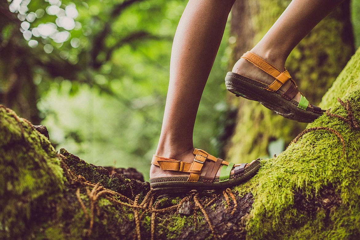 נעלי אל נטורליסטה בטיפוס על עצים מלאי טחב